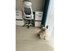 Компьютерное кресло Burgos черное фото покупателя 8