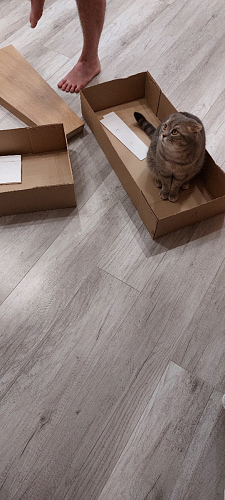 Стол на тумбе Петир 160 белый / дуб монтана фото покупателя 4