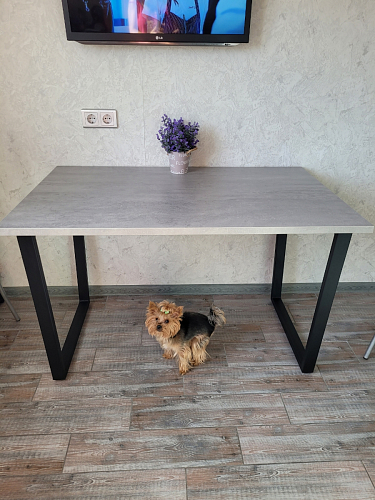 Стол раскладной Лота Лофт 120 25 мм юта / черный матовый фото покупателя 103