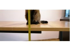 Стол Лота Лофт 140 25 мм черный матовый / дуб вотан фото покупателя 327