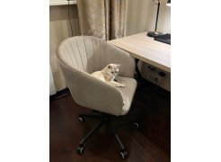 Компьютерное кресло Тибо confetti chocolate / белый фото покупателя 149