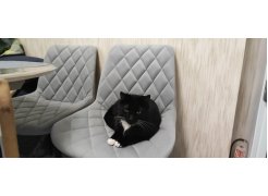 Стул на металлокаркасе Баодин зеленый / белый фото покупателя 26