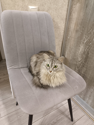 Стул на металлокаркасе Дани бежевый / белый фото покупателя 45