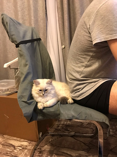 Стул Basit бежевый фото покупателя 39