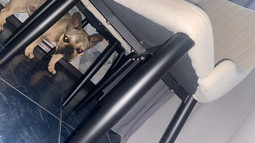 Стул на металлокаркасе Kora white / gray фото покупателя 112