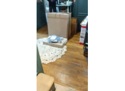 Обувница Куба 1733.М2 дуб сонома / белый глянец фото покупателя 1