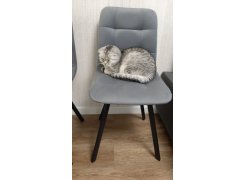 Стул Чилли 2 темно-серый  / черный фото покупателя 215