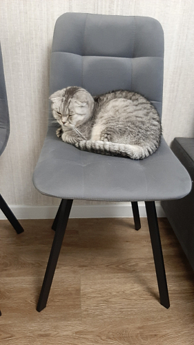 Стул на металлокаркасе Чилли синяя ткань / белый фото покупателя 215