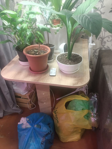 Стол-книжка Мечта дуб сонома  - Уцененный экземпляр фото покупателя 106