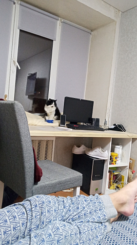 Стул Madina white / fabric pebble фото покупателя 5