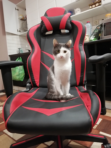 Компьютерное кресло Racer черное / оранжевое фото покупателя 1