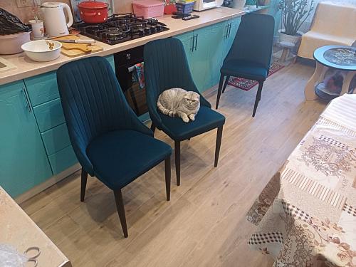 Стул на металлокаркасе Kora dark gray / black фото покупателя 397