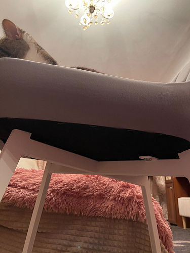 Стул на металлокаркасе Челси бирюзовый / черный фото покупателя 131