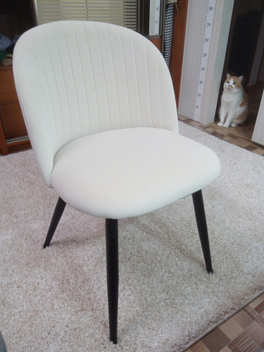 Стул на металлокаркасе Gabi dark beige / black / silver фото покупателя 143