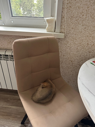 Стул на металлокаркасе Чилли К черный / зеленый фото покупателя 184