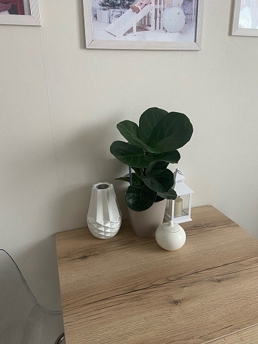 Стол раскладной Колон Лофт 120 32 мм дуб галифакс табако / черный матовый фото покупателя 171