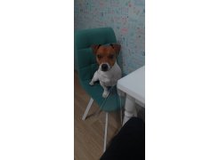 Стул на металлокаркасе Чилли черный фото покупателя 56