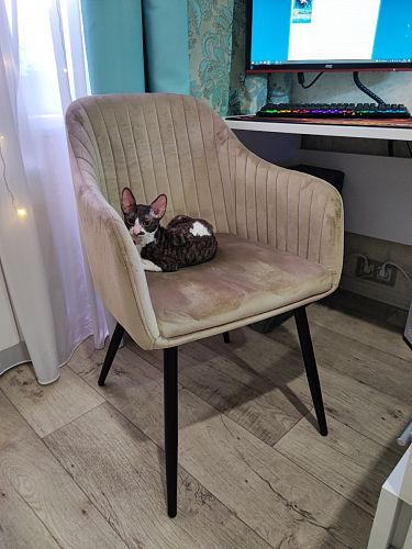 Стул на металлокаркасе Slam dark beige фото покупателя 9