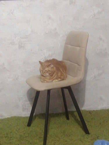 Стул на металлокаркасе Чилли К кирпичный / черный фото покупателя 600