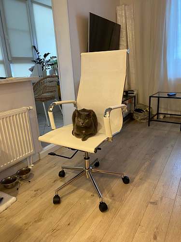 Компьютерное кресло Reus черная сетка / хром фото покупателя 34