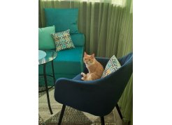 Стул на металлокаркасе Slam тёмно-серый фото покупателя 6