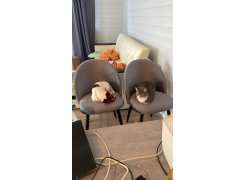 Стол Лота Лофт 140 25 мм черный матовый / бетон фото покупателя 242