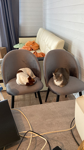 Стол Лота Лофт 140 25 мм черный матовый / бетон фото покупателя 242