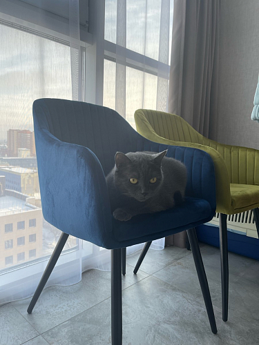 Стул на металлокаркасе Slam тёмно-серый фото покупателя 42