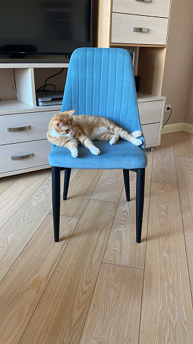 Стул на металлокаркасе Kora black / gray фото покупателя 114