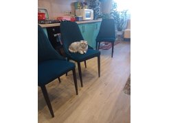 Стул на металлокаркасе Kora white фото покупателя 398