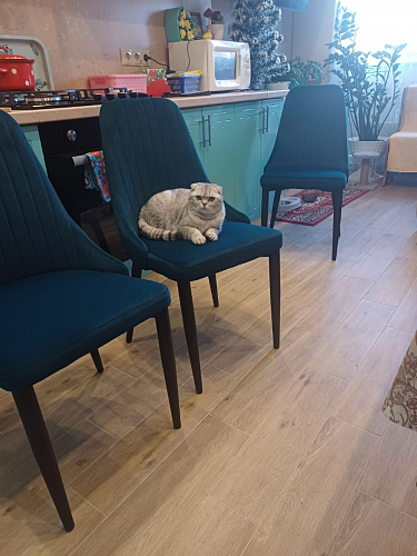 Стул на металлокаркасе Kora light blue / white фото покупателя 398