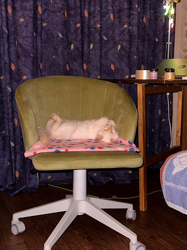 Компьютерное кресло Пард confetti silver серый / черный фото покупателя 55