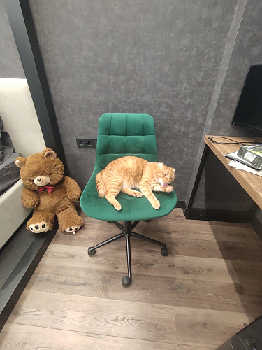 Компьютерное кресло Честер кирпичный / черный фото покупателя 58