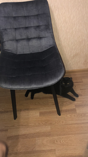 Стул Hagen темно-серый фото покупателя 3