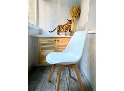 Деревянный стул Bonuss dark gray / black фото покупателя 1