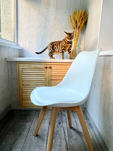 Деревянный стул Bonuss green / grey фото покупателя 1