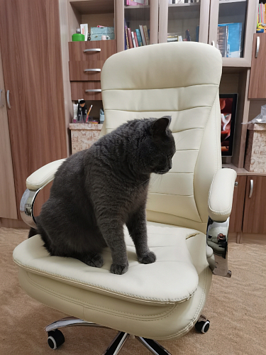 Компьютерное кресло Tomar серое фото покупателя 60