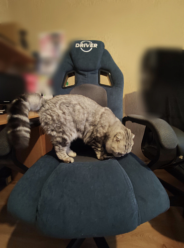 Компьютерное кресло Driver/Драйвер кожзам черный / серый фото покупателя 108