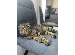 Стул на металлокаркасе Чилли черный фото покупателя 686