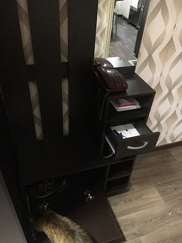 Прихожая Мила ясень шимо фото покупателя 90