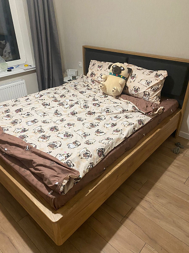 Двуспальная кровать Клауд 160х200 парящая дуб крафт золотой / антрацит фото покупателя 307