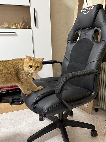 Компьютерное кресло Driver/Драйвер кожзам черный / серый фото покупателя 144