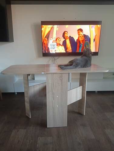 Стол-книжка Мечта дуб сонома  - Уцененный экземпляр фото покупателя 43