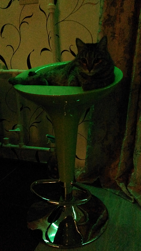 Барный стул Orion зеленый фото покупателя 1