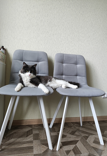 Стул на металлокаркасе Чилли К кирпичный / черный фото покупателя 447