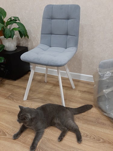 Стул на металлокаркасе Чилли бирюзовый / черный фото покупателя 759