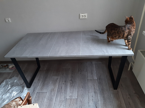 Стол Лота Лофт 120 32 мм бетон / черный матовый фото покупателя 77