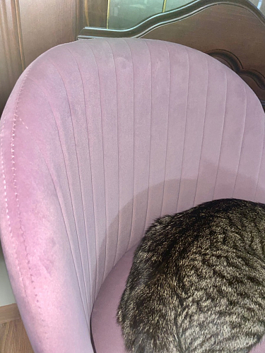 Стул на металлокаркасе Gabi 1 light purple / black фото покупателя 763