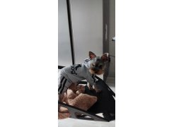 Стул One PC-015 черный фото покупателя 54