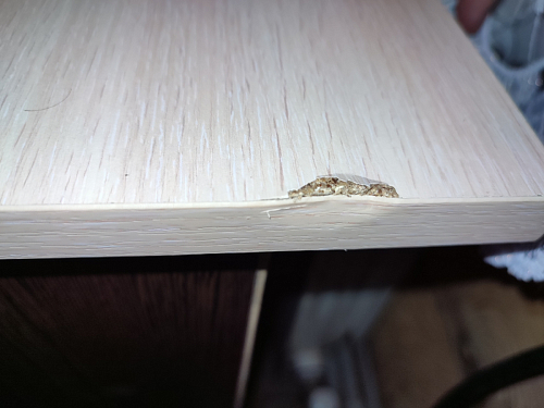 Стол письменный СП4 венге / дуб молочный фото покупателя 41